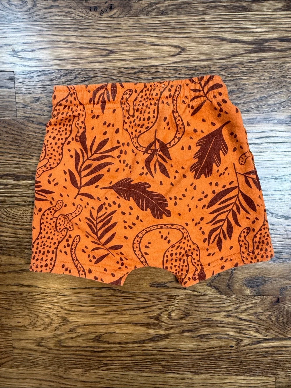 Cat & Jack x Danielle Peterson Kids Cheetah Print Sweatshirt/ Short Set 18 M
